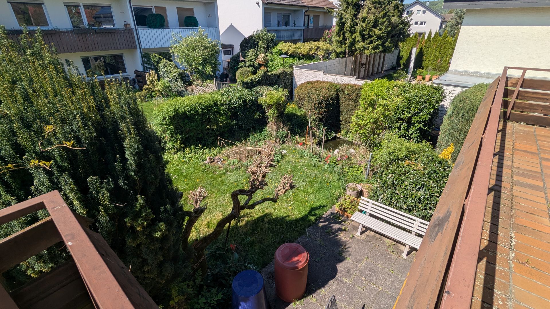 Blick in Garten 1